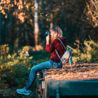 Einlagern im Herbst Einlagern im Herbst